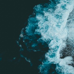 The Waves