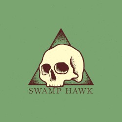 Swamp Hawk