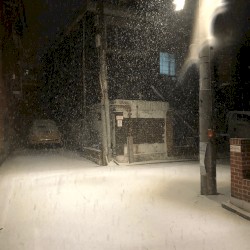 Untitled 4