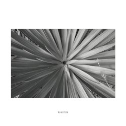 R0011786