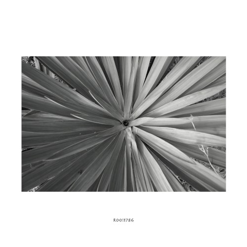 R0011786