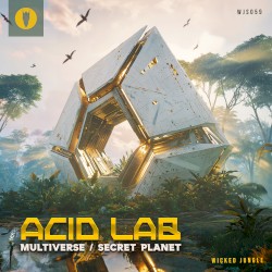 Multiverse / Secret Planet