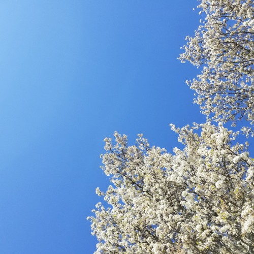 Sky VI–IX