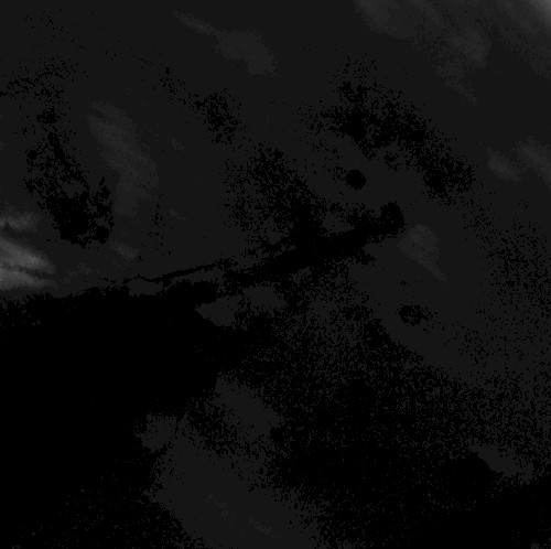 disappear
