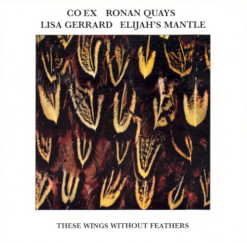 These Wings Without Feathers