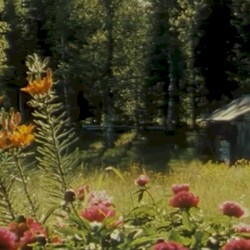 Floral Pastoral