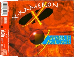 I Wanna Be Your Lover