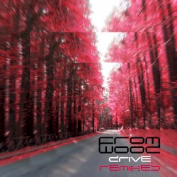 Drive (Remixes)
