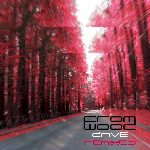 Drive (Remixes)