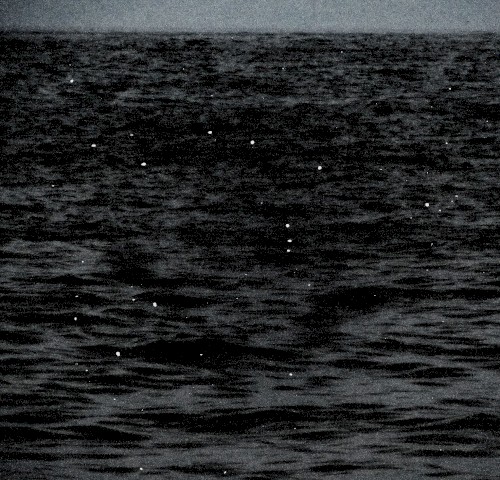 hydrophonics