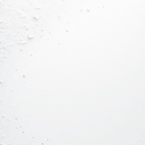 Yuki