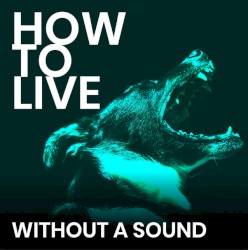 Without a Sound
