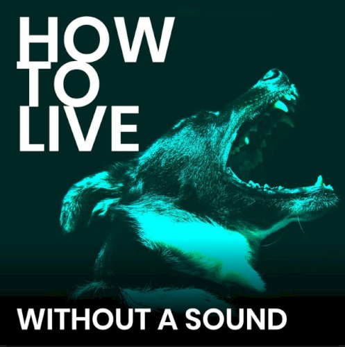Without a Sound