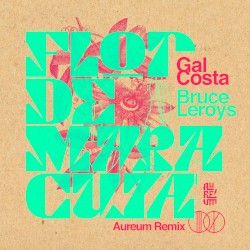 Flor De Maracujá (*Aureum Remix)
