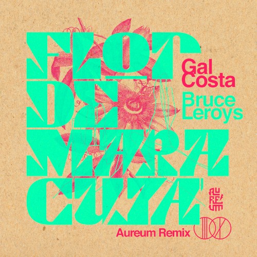 Flor De Maracujá (*Aureum Remix)