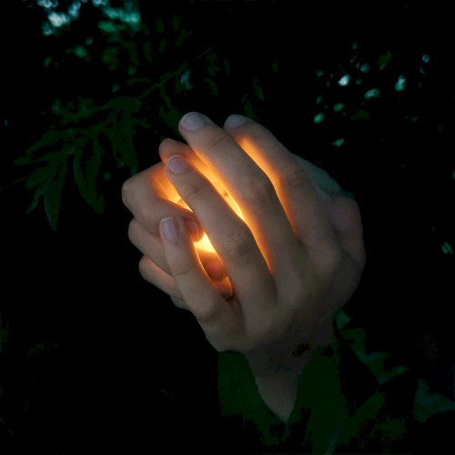Firefly Collector