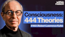 Within Reason #160, “Every Theory of Consciousness”
