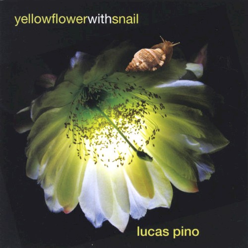 Yellow Flower With Snail