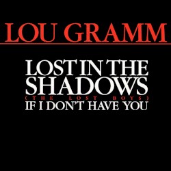 Lost In The Shadows