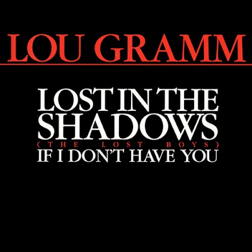 Lost In The Shadows