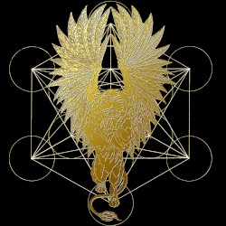 The Griffin