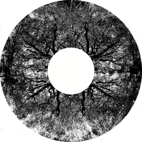 MMXX - 05 : 4424