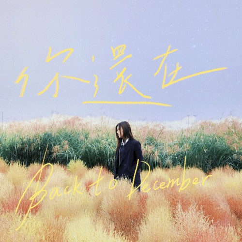 你還在（Back to December）