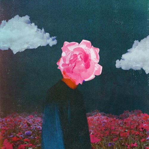 wildflowers