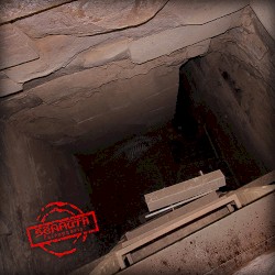 Paleognosis?