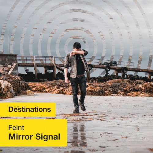 Mirror Signal