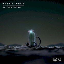Persistence