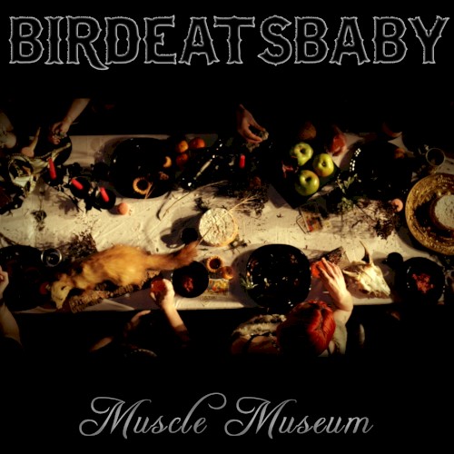 Muscle Museum
