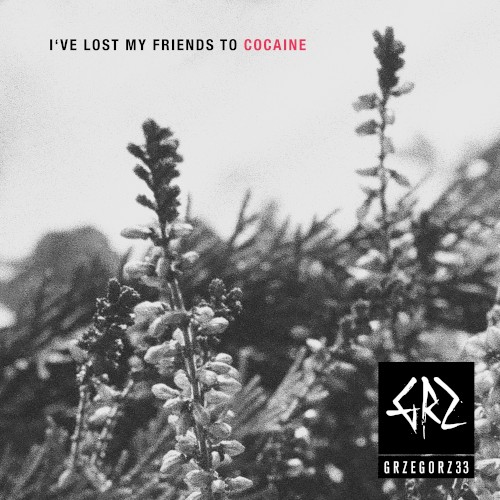 I’ve Lost My Friends to Cocaine
