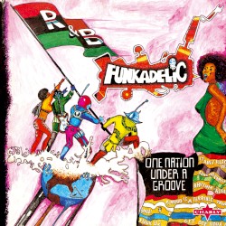 One Nation Under a Groove