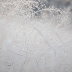 Comose II