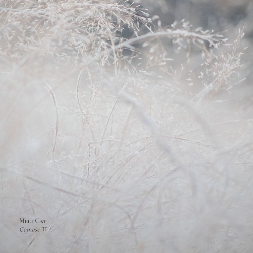 Comose II