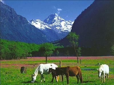 四姑娘山