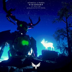 Visionary (Similar Outskirts remix)