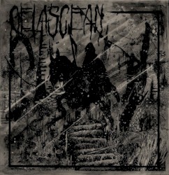 Cetascean