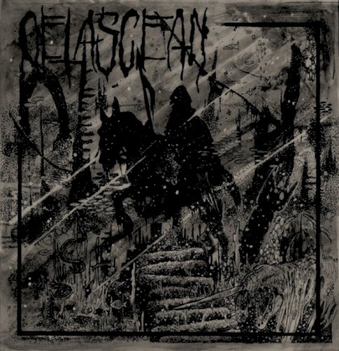 Cetascean