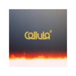 Cellula 2