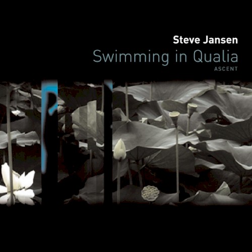 Swimming in Qualia