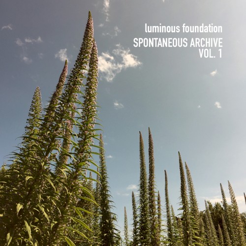 Spontaneous Archive Vol. 1
