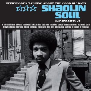Shaolin Soul, Episode 3