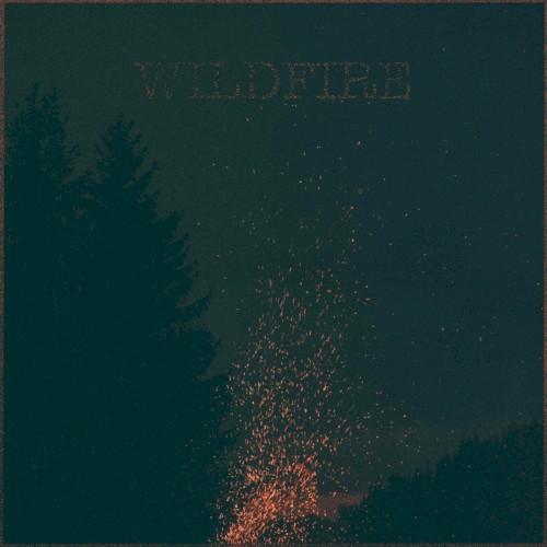 Wildfire
