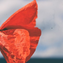 Fragile
