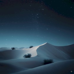 Organic Wonderland