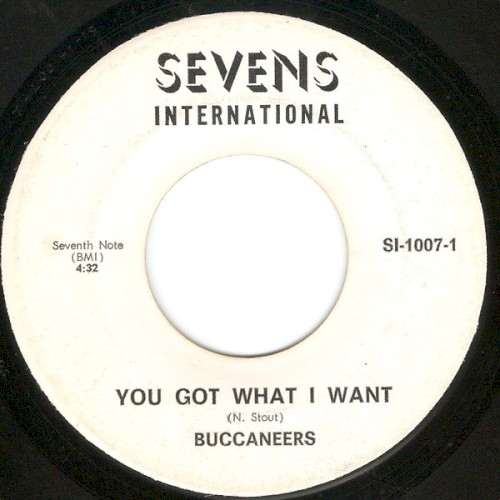 You Got What I Want