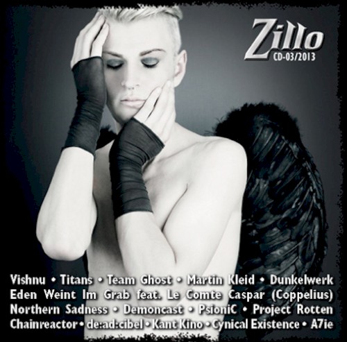 Zillo CD-03/2013