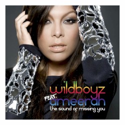The Sound of Missing You
